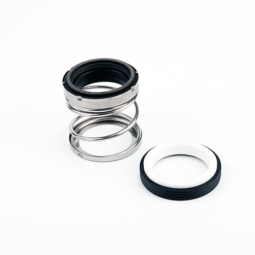 Type 21 Rubber Bellow Mechanical Seal
